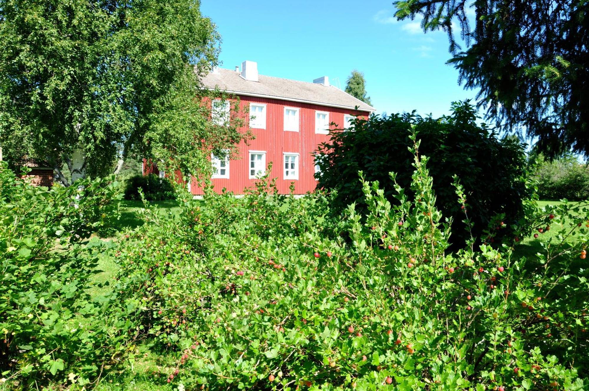 Opintola Bed & Breakfast Norinkyla Exterior photo